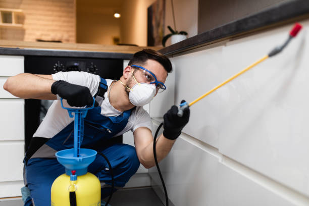 Best Mosquito Control Services  in Grandy, NC