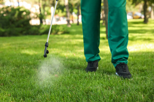 Best Emergency Pest Control  in Grandy, NC