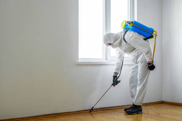 Best Best Pest Control Companies  in Grandy, NC
