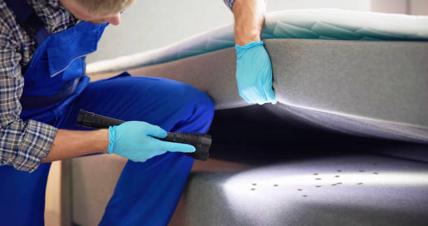 Best Pest Control Near Me  in Grandy, NC