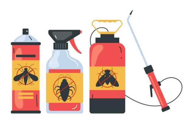 Best Local Pest Control Services  in Grandy, NC